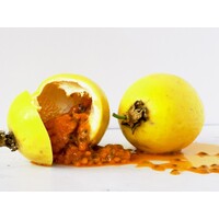 Eetbare tuin-edible garden Passiflora edulis "Flavicarpa" - Maracuya