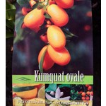 Eetbare tuin-edible garden Citrus fortunella - Citrus kumquat