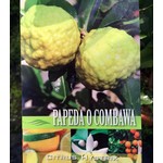Eetbare tuin-edible garden Citrus hystrix - Combava