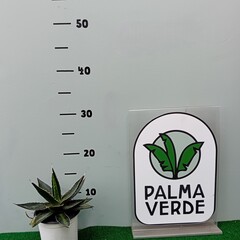 Woestijn-desert Agave lophanta