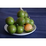 Eetbare tuin-edible garden Melicoccus bijugatus - Knippa