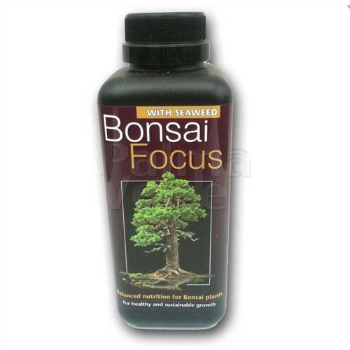 Bonsai Focus