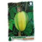 Eetbare tuin-edible garden Averrhoa carambola - Star apple