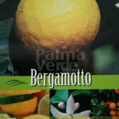 Eetbare tuin-edible garden Citrus bergamot - Citrus bergamia