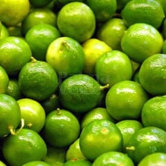 Eetbare tuin-edible garden Citrus latifolia-aurantifolia Lime Verde - Lime