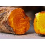 Eetbare tuin-edible garden Curcuma longa - Curcuma - Turmeric