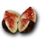 Eetbare tuin-edible garden Ficus carica - Fig tree (Various varieties)