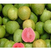 Eetbare tuin-edible garden Psidium guajava - Guave