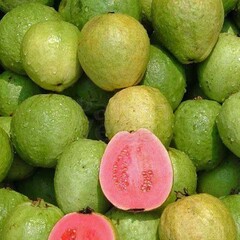 Eetbare tuin-edible garden Psidium guajava - Guava