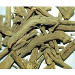 Eetbare tuin-edible garden Glycyrrhiza glabra - Liquorice