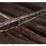 Eetbare tuin-edible garden Vanilla planifolia - Vanilla plant