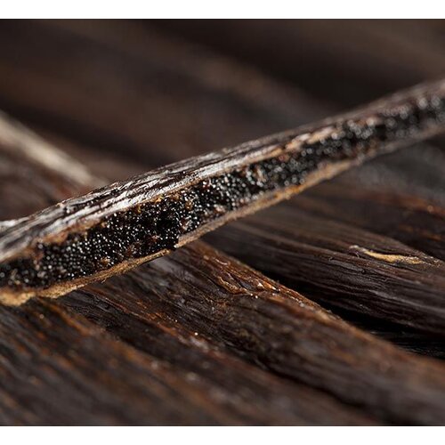 Eetbare tuin-edible garden Vanilla planifolia - Vanilla plant