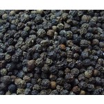 Eetbare tuin-edible garden Piper nigrum - Black pepper