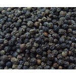 Eetbare tuin-edible garden Piper nigrum - Poivrier noir