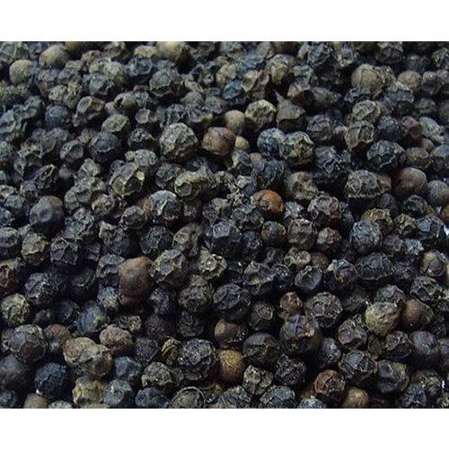 Eetbare tuin-edible garden Piper nigrum - Poivrier noir