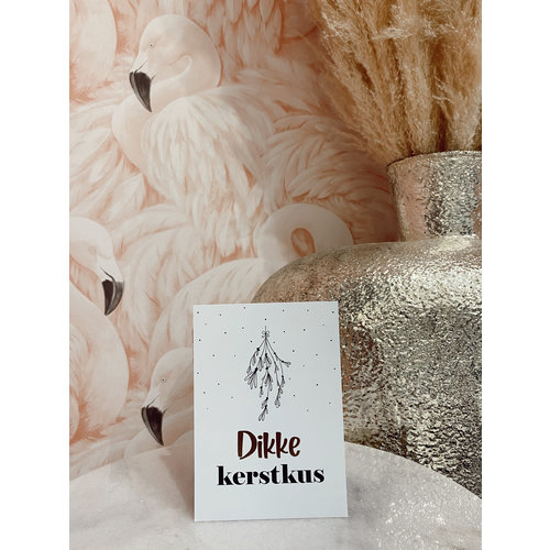 Miekinvorm Postcard Dikke Kerstkus Miekinvorm Postcard Dikke Kerstkus
