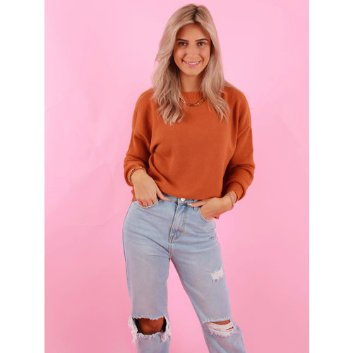 ALEXANDRE LAURENT Viscose Jumper Rust Brown ALEXANDRE LAURENT Viscose Jumper Rust Brown