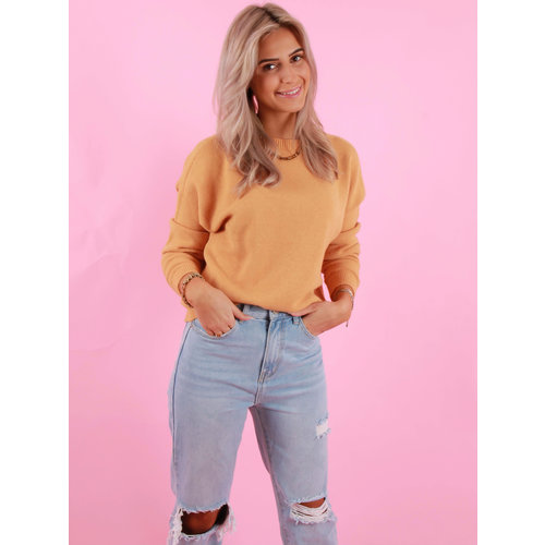 ALEXANDRE LAURENT Viscose Jumper Mustard ALEXANDRE LAURENT Viscose Jumper Mustard