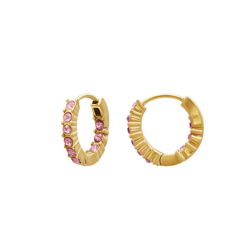 Earrings Zircon Stones Gold/Pink Earrings Zircon Stones Gold/Pink