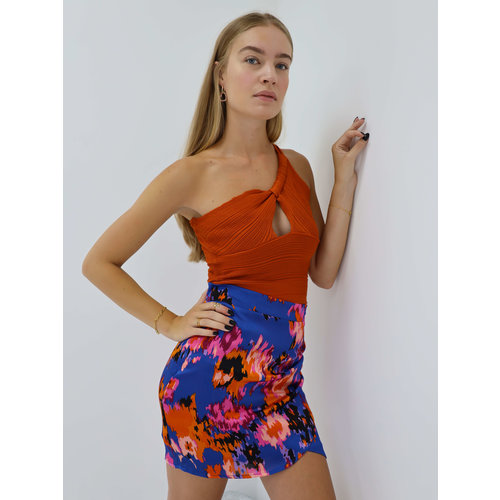 Rok met Print Blauw Rok met Print Blauw