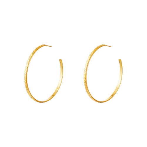 Stainless Steel Hoop Earrings Gold Stainless Steel Hoop Earrings Gold