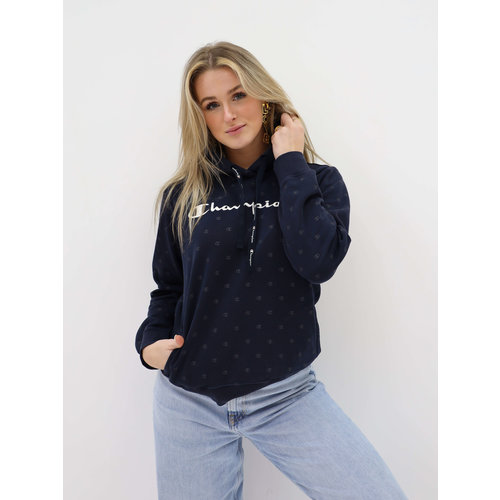 Handpicked Vintage Champion Hoodie Blue Handpicked Vintage Champion Hoodie Blue