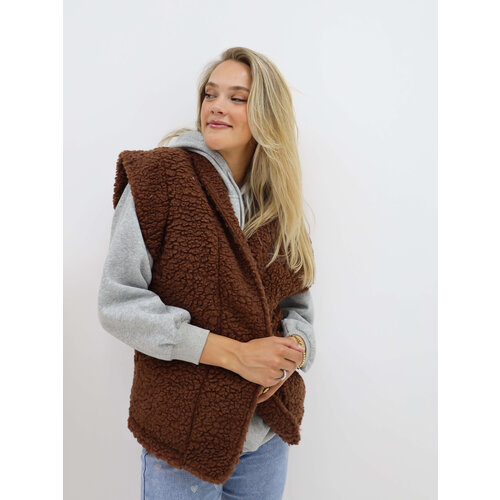 Teddy Gilet Brown Teddy Gilet Brown