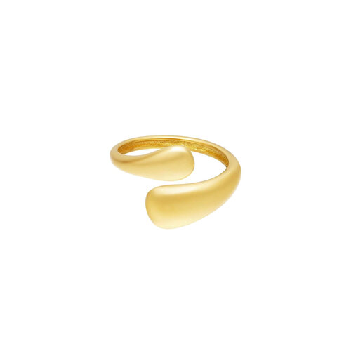 Bicolored Stainless Steel Ring Bicolored Stainless Steel Ring