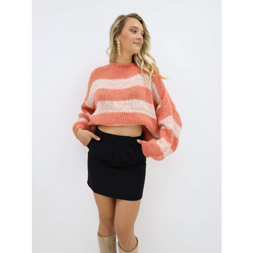 Mini Skirt Black Mini Skirt Black