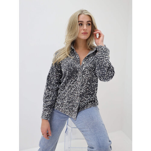 Velvet Pailletten Blouse Zilver Velvet Pailletten Blouse Zilver