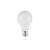 E27 4,8w - 6w Classic Globe, 470-500 Lumen, 2 Jaar Garantie