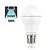 E27 13w Classic Globe, 1521 Lumen, 2 Jaar Garantie