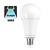 E27 14,5w Classic Globe, 1921-2000 Lumen, 2 Jaar Garantie