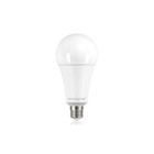 E27 14,5w Classic Globe, 1921-2000 Lumen, 2 Jaar Garantie