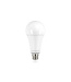 E27 14,5w Classic Globe, 1921-2000 Lumen, 2 Jaar Garantie