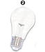 E27 LED Bollamp Groen