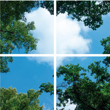 Fotoprint afbeelding Wolken en Bos 120x120cm voor 4x 60x60cm led paneel