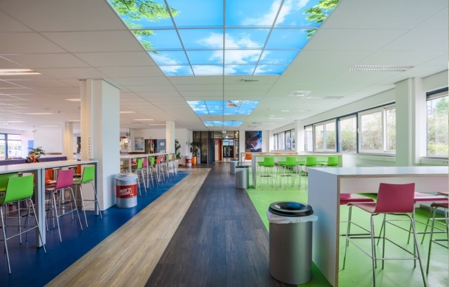 Fotoprint afbeelding Wolken en Bos 120x120cm voor 4x 60x60cm led paneel, foto 2 van 3
