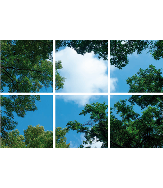 Fotoprint afbeelding Wolken en Bos 180x120cm voor 6x 60x60cm led paneel