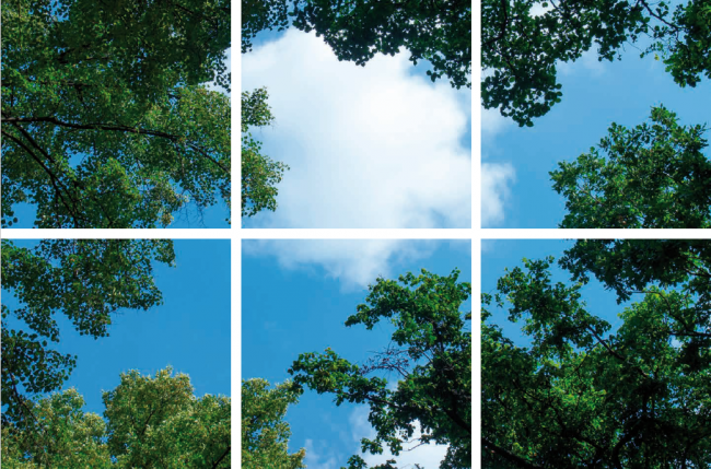 Fotoprint afbeelding Wolken en Bos 180x120cm voor 6x 60x60cm led paneel