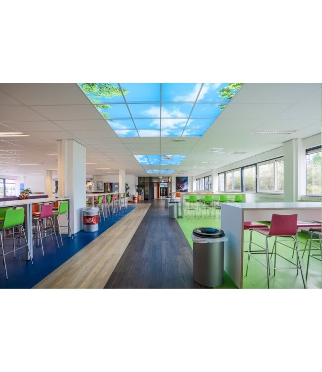 Fotoprint afbeelding Wolken en Bos 180x120cm voor 6x 60x60cm led paneel