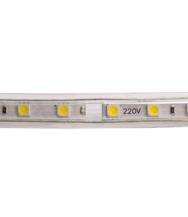 LED Lichtslang Op Maat Per Meter:  6000K Daglicht Wit, 5w/m, 60 leds/m, 500lm/m, IP65, 230V