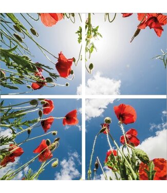 Fotoprint afbeelding Wolken en Roos 120x120cm voor 4x 60x60cm led paneel