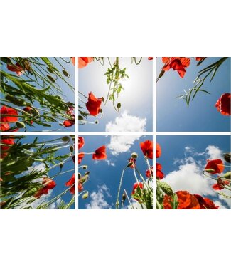 Fotoprint afbeelding Wolken en Roos 180x120cm voor 6x 60x60cm led paneel