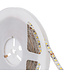 UITVERKOOP: Led Strip ROL 5 Meter 2835SMD, 10,5w/m, 120 led/m, 1100Lm/m, 6000K Daglicht wit, 24v, IP65, 8mm