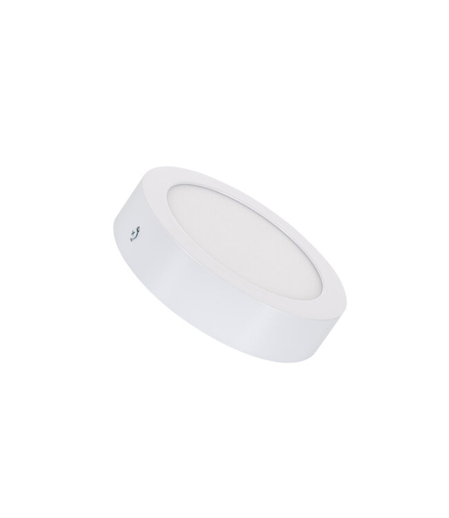Opbouw LED Downlighter 12w, 880 Lumen, Ø170mm, Wit, IP20, 2 Jaar Garantie