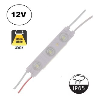 LED Module 3x 2835SMD, 1,2w, 108 Lumen , IP65, 12v, 2 Jaar Garantie