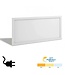 Back-lit LED Paneel 30x60cm, 24w, 2400 Lumen (100lm/w), Color Switch (3000/4000/5000K), Stekkerklaar, 3 Jaar Garantie