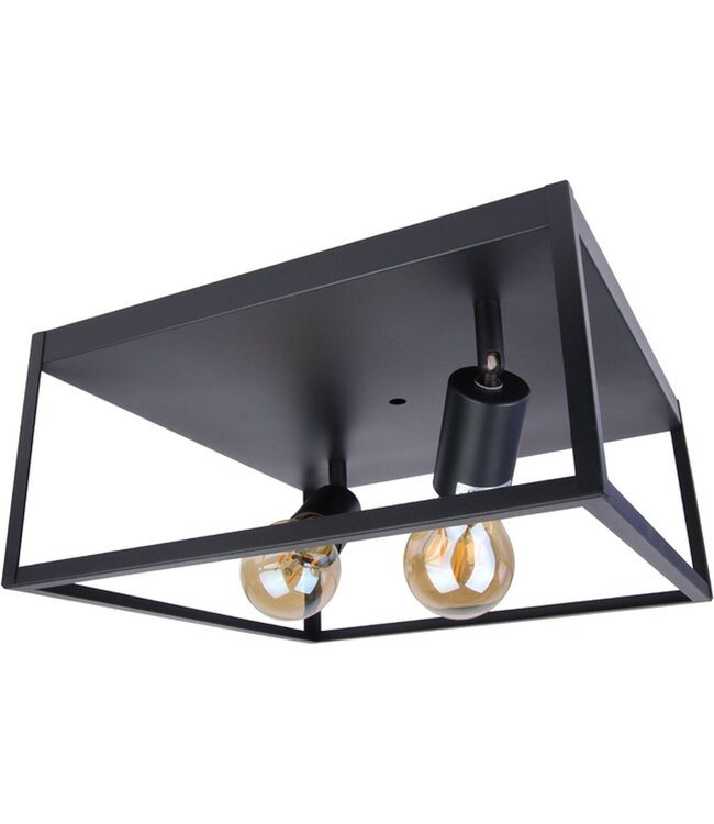 Industriële Plafondlamp Zwart | 30x30cm | Incl. 2x Lichtbron E27 - 4w - 2400K - Dimbaar  | Retro | Vintage | Metaal