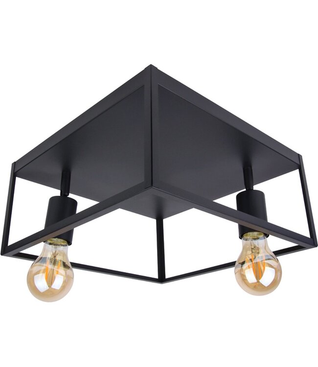 Industriële Plafondlamp Zwart | 30x30cm | Incl. 2x Lichtbron E27 - 4w - 2400K - Dimbaar  | Retro | Vintage | Metaal
